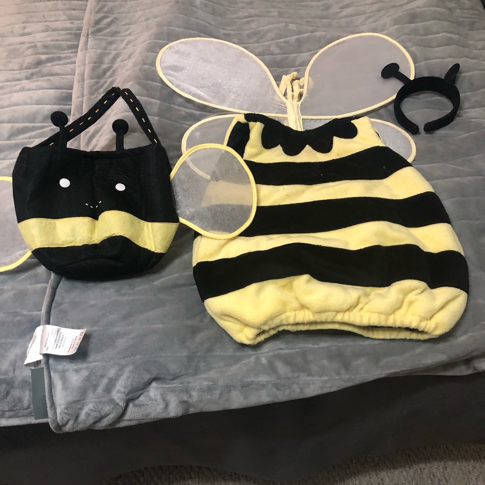 Pottery barn bee costume